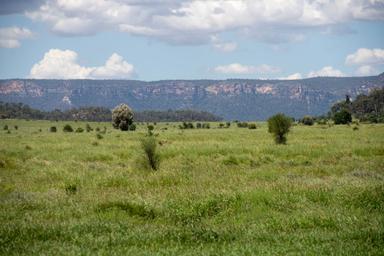 Blackwater Rolleston Road, Blackwater QLD 4717