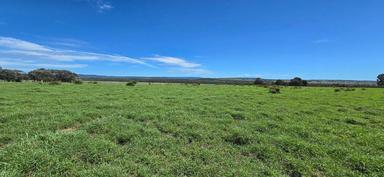 WOONOONA, Roma QLD 4455