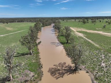 586 Bindango Road, Roma QLD 4455