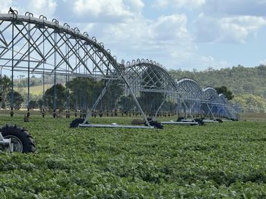 24962 Burnett Highway, Ceratodus QLD 4627