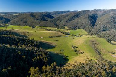1551 Gelantipy Road, Murrindal VIC 3885