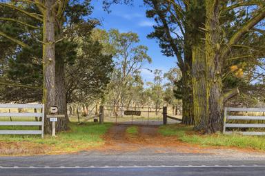 8815 Kings Highway, Bungendore NSW 2621