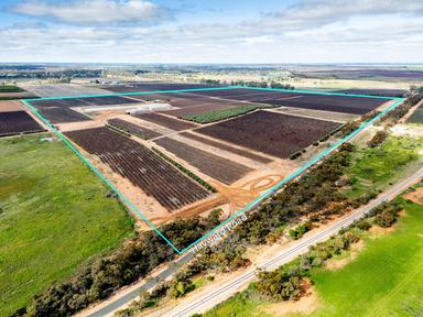 213 Hayward Road, Piangil VIC 3597