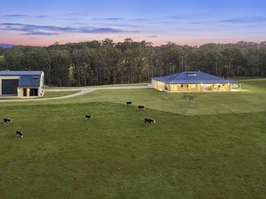 91 & 101 Jackwood Road, Valla NSW 2448