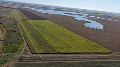 25 Lochinvar Road, Brandon QLD 4808