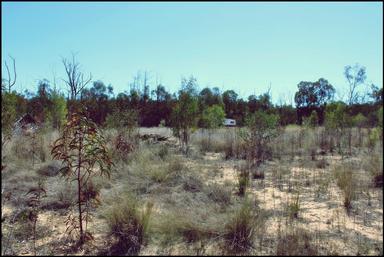 Lot 8 Basil Drive , Forest Ridge QLD 4357