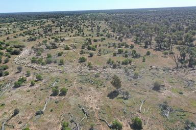7040 Woolerina Road, Bollon QLD 4488