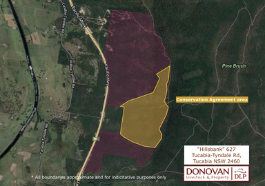 627 Tucabia-Tyndale Road , Tucabia NSW 2462