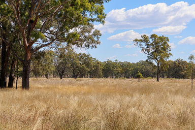 &OpenCurlyDoubleQuote;Springvale&rdquo;, Willows Gemfields QLD 4702
