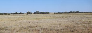Flodden Hills, Windorah QLD 4481