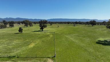 33 Bellellen Saleyards Road, Bellellen VIC 3381
