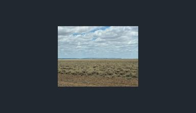 721 Baratria Road, Longreach QLD 4730