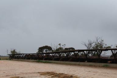 Farm For Sale - SA - Paskeville - 5552 - "COOLALIE" CATTLE FEEDLOT & FEEDMILL FACILITY  (Image 2)