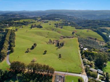 Farm Sold - NSW - Dunoon - 2480 - Vacant Rural Land on the Edge of Dunoon Village  (Image 2)