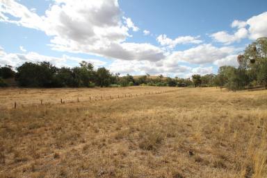 Farm Sold - NSW - Quirindi - 2343 - 10.4 ACRES, QUIET LOCATION  (Image 2)