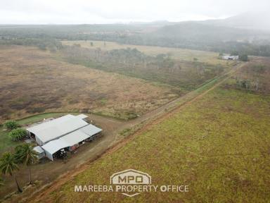 Farm Sold - QLD - Mutchilba - 4872 - ARABLE LAND WITH WALSH RIVER ASPECT  (Image 2)