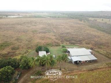 Farm Sold - QLD - Mutchilba - 4872 - ARABLE LAND WITH WALSH RIVER ASPECT  (Image 2)