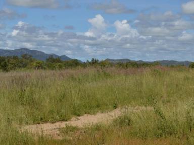Farm For Sale - QLD - Dimbulah - 4872 - ON THE WALSH - RURAL RESIDENTIAL LAND WITH RANGE OF OPTIONS  (Image 2)