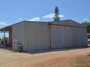 Farm Sold - QLD - Mareeba - 4880 - ESTABLISHED FARMING IN MAREEBA - ROOM FOR EXPANSION  (Image 2)