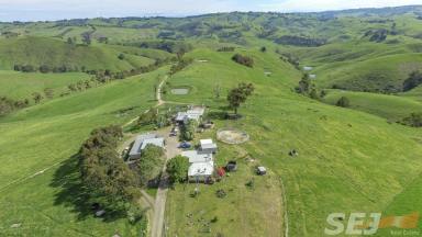 Farm Sold - VIC - Arawata - 3951 - Well priced farming opportunity.  (Image 2)