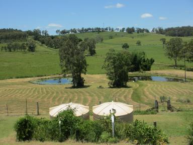 Farm Sold - NSW - North Casino - 2470 - SECLUDED LIFESTYLE YET CONVENIENT           
  (Image 2)