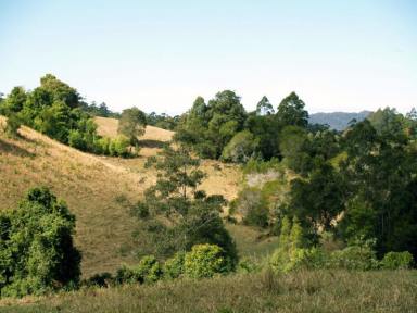 Farm Sold - NSW - Bellingen - 2454 - Choose Your River Front Acreage in Bellingen  (Image 2)