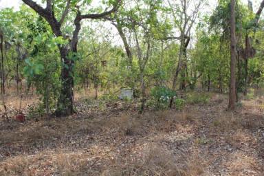 Farm Sold - NT - Southport - 0822 - NEED LAND FOR A HOME?  (Image 2)