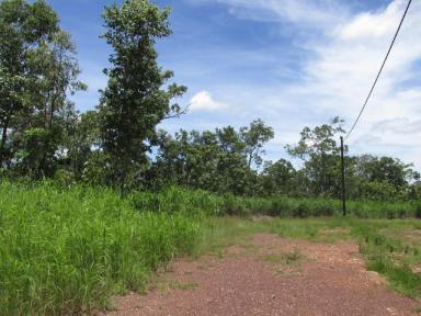 Farm Sold - NT - Darwin River - 0841 - 37+ Acres only 30 Minutes to Palmerston  (Image 2)