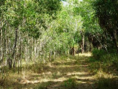 Farm Sold - NT - Noonamah - 0837 - Just Over 78 Acres!  (Image 2)