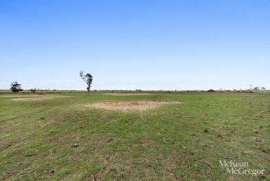 Farm Sold - VIC - Newbridge - 3551 - Fantastic Acreage Ideal For Grazing, Cropping or Viticulture  (Image 2)