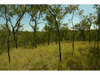 Farm Sold - QLD - Mareeba - 4880 - HAVE YOU EVER SEEN VIEWS LIKE THIS?  (Image 2)