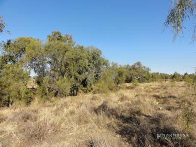 Farm Sold - QLD - Dalby - 4405 - 4.97 HECTARES - (APPROX 12 ACRES VACANT LAND) - 2 TITLES - MYALL CREEK FRONTAGE  (Image 2)