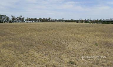 Farm Sold - QLD - Dalby - 4405 - VACANT ACREAGE HOUSE SITE - EDGE OF DALBY  (Image 2)