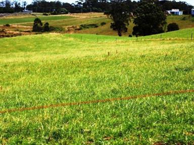 Farm Sold - TAS - Smithton - 7330 - Run off Block with Great Location to Town   (Image 2)