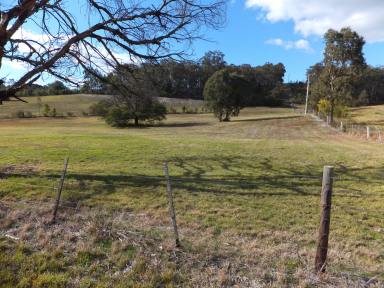 Farm Sold - VIC - Sarsfield - 3875 - 2.4 ACRE BLOCK OF LAND IN SARSFIELD  (Image 2)