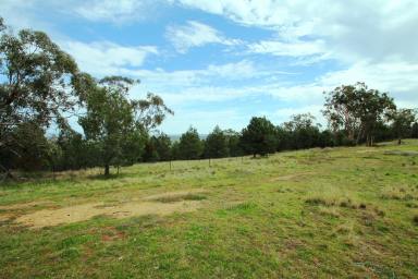 Farm Sold - NSW - Quirindi - 2343 - 4.9 ACRES WITH SPECTACULAR VIEWS  (Image 2)