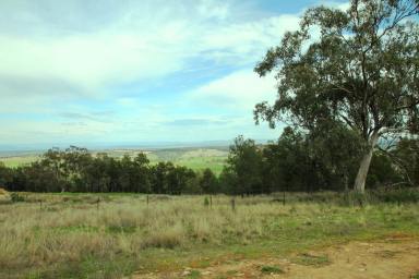 Farm Sold - NSW - Quirindi - 2343 - 4.9 ACRES WITH SPECTACULAR VIEWS  (Image 2)