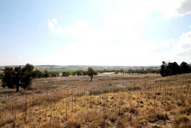 Farm Sold - NSW - Quirindi - 2343 - 22 ACRES WITH RURAL VIEWS  (Image 2)