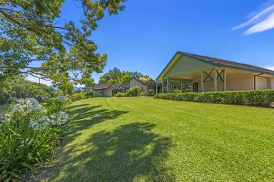 Farm Sold - NSW - Bellingen - 2454 - Bellingen Deep River Frontage, 2 Houses, 8.94 Ha and Licensed Turf Farm  (Image 2)