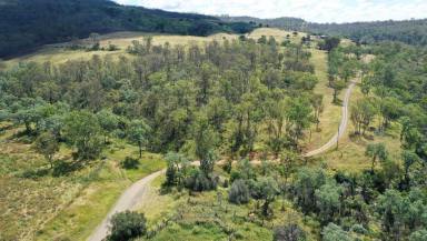 Farm Sold - QLD - West Haldon - 4359 - Private Inspections Available  (Image 2)