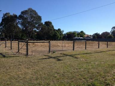 Farm Sold - VIC - Benambra - 3900 - DOUBLE BLOCK IN THE CENTRE OF TOWN  (Image 2)