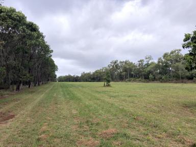 Farm Sold - QLD - Cooktown - 4895 - 62 Acres of Beautiful Endeavour Valley Land  (Image 2)