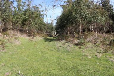 Farm Sold - VIC - Stonyford - 3260 - Productive Picturesque Stonyford Country  (Image 2)