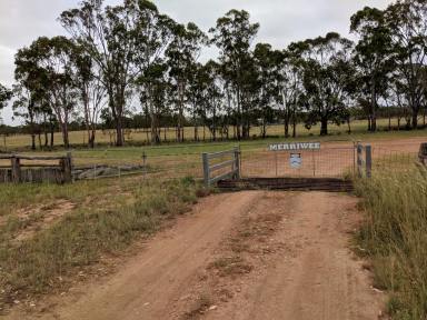 Farm Sold - QLD - Thanes Creek - 4370 - Creek frontage lifestyle  (Image 2)
