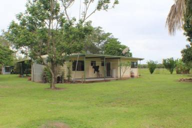 Farm Sold - NT - Adelaide River - 0846 - Owner said sell price reduced!
3 bedroom house on 52 acres of cleared land  (Image 2)