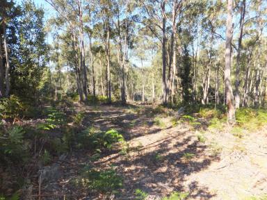 Farm Sold - VIC - Sarsfield - 3875 - 113 ACRES, NATURE LOVERS & OUTDOOR ADVENTUROUS  (Image 2)