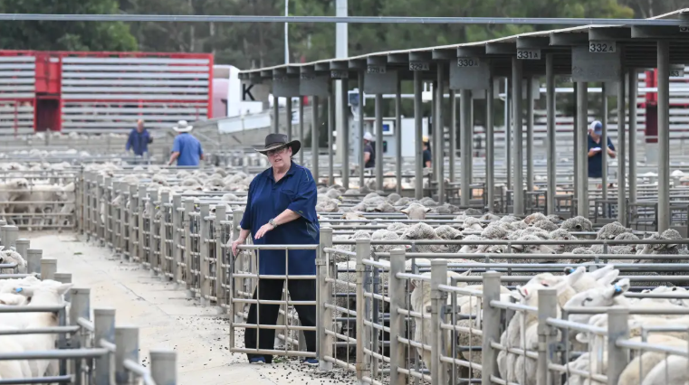 Bendigo Livestock Exchange