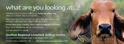 Grafton Regional Livestock Selling Centre
