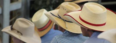 Central Queensland Livestock Exchange (CQLX)