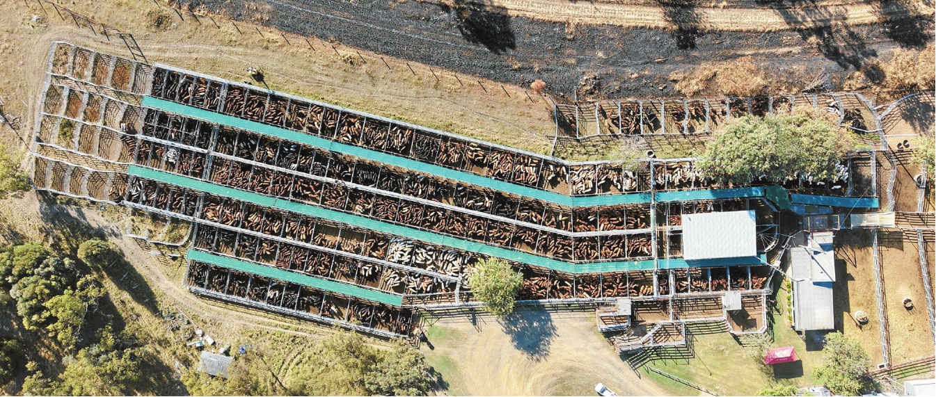 Monto Selling Complex